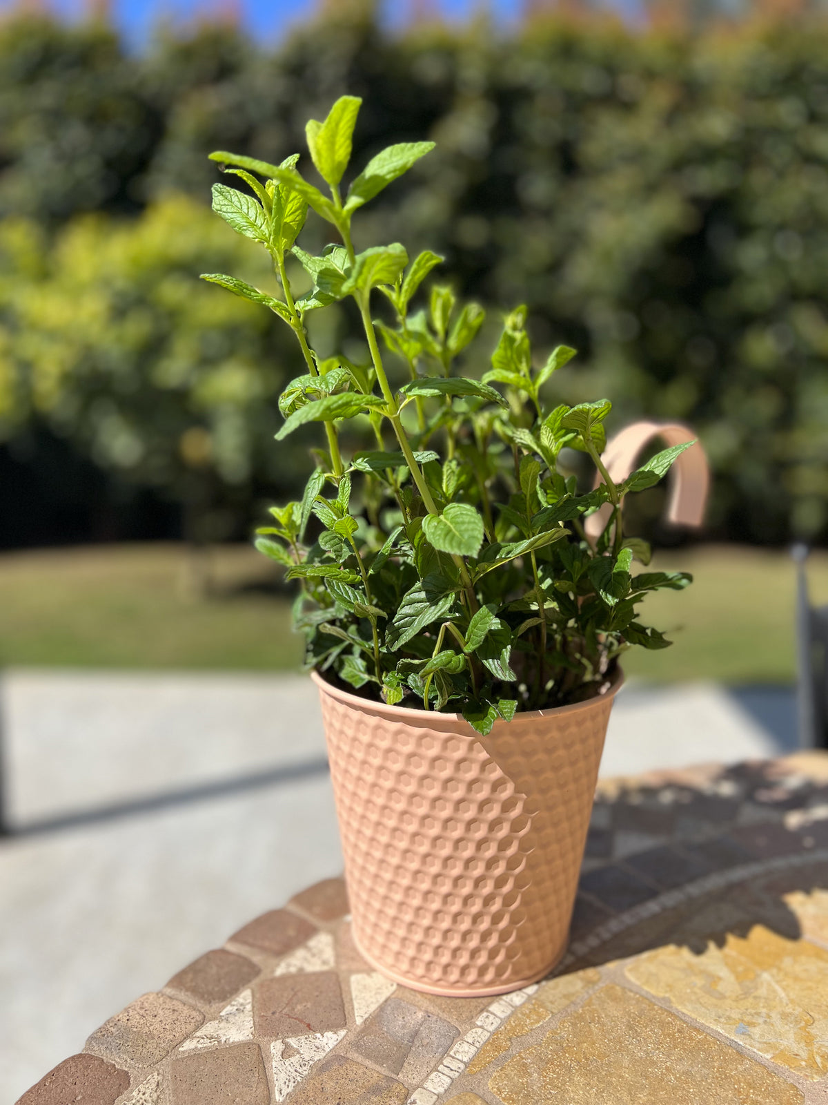 Vaso in ferro rosa con gancio