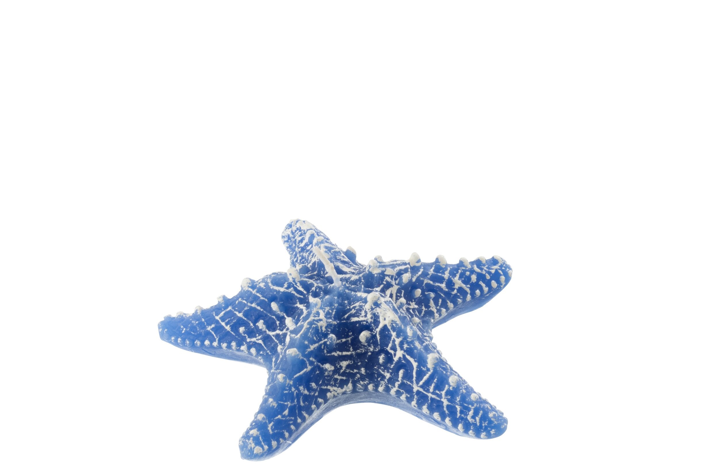 Candela Stella Marina Blu Piccola