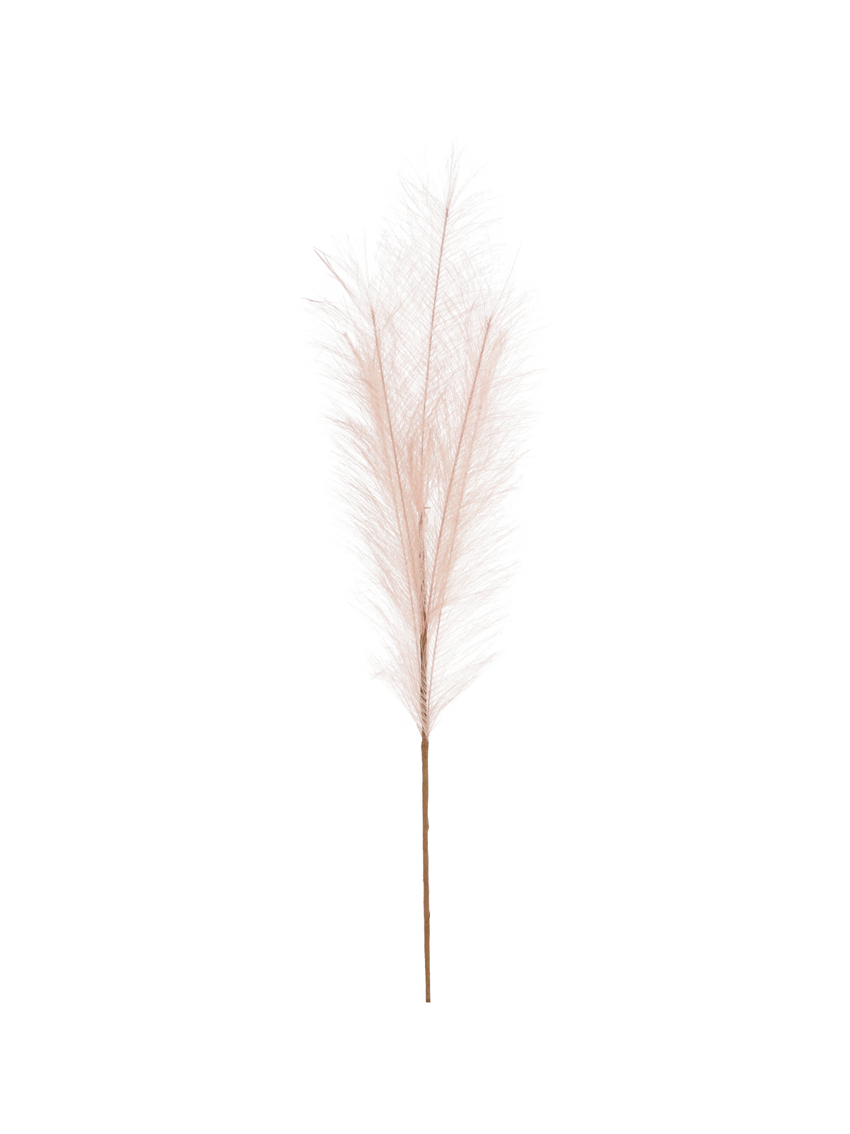 Ramo Piumino Rosa antico