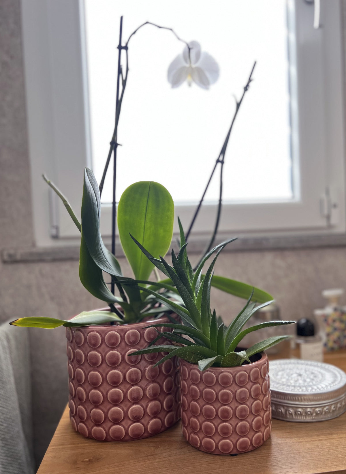 Portavaso bolle grande Rosso