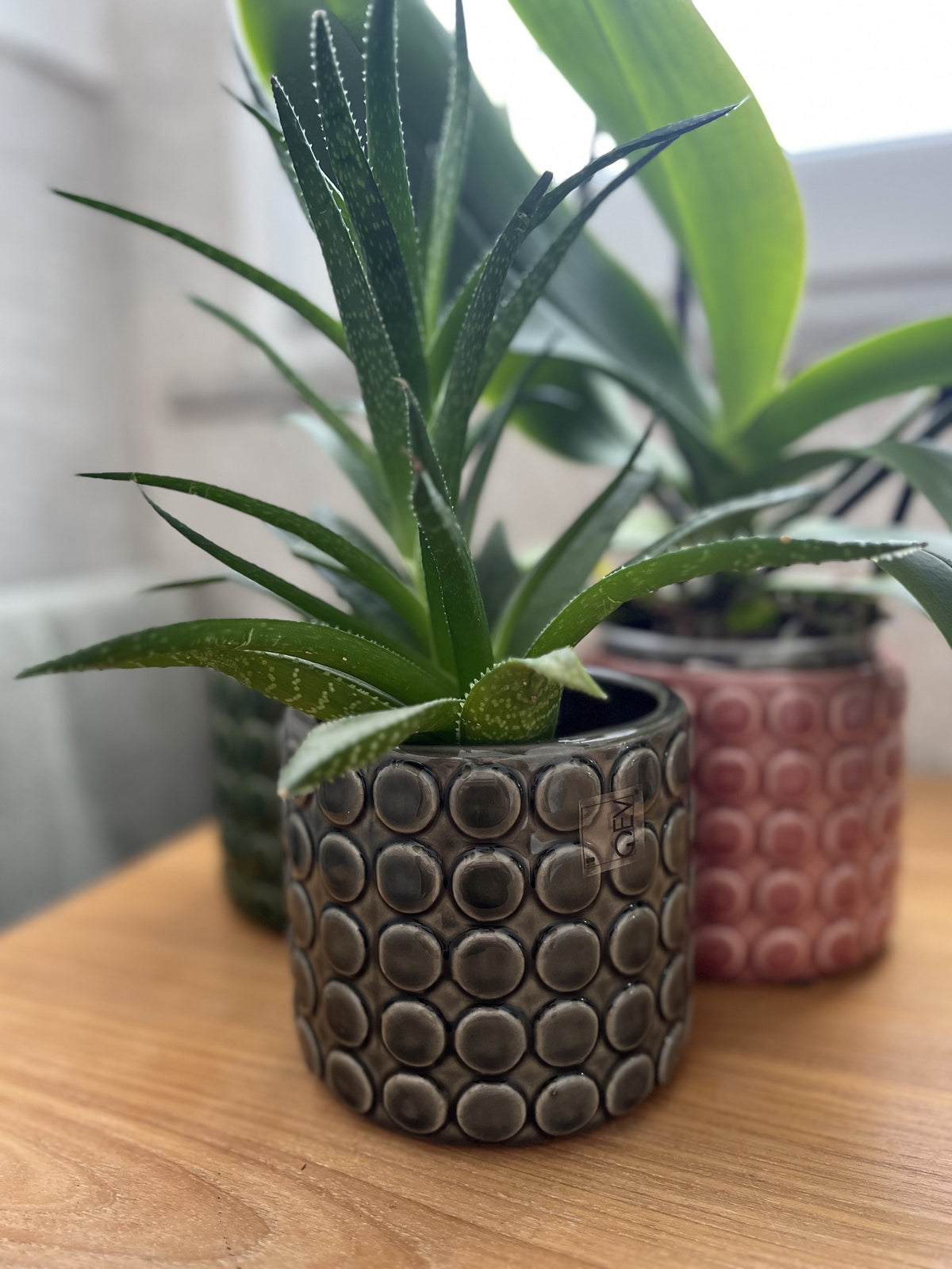 Portavaso bolle medio Grigio