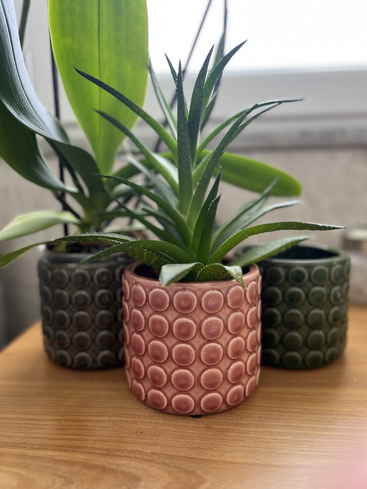 Portavaso bolle medio Rosso