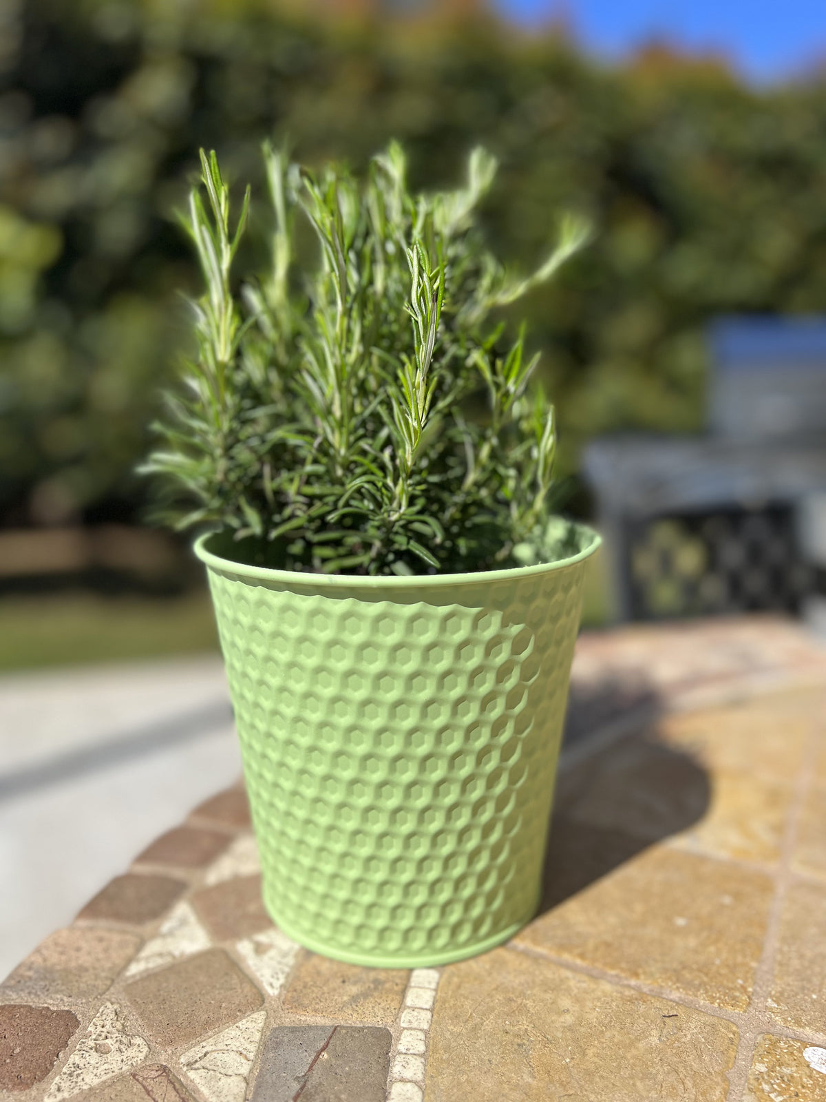 Vaso in ferro verde